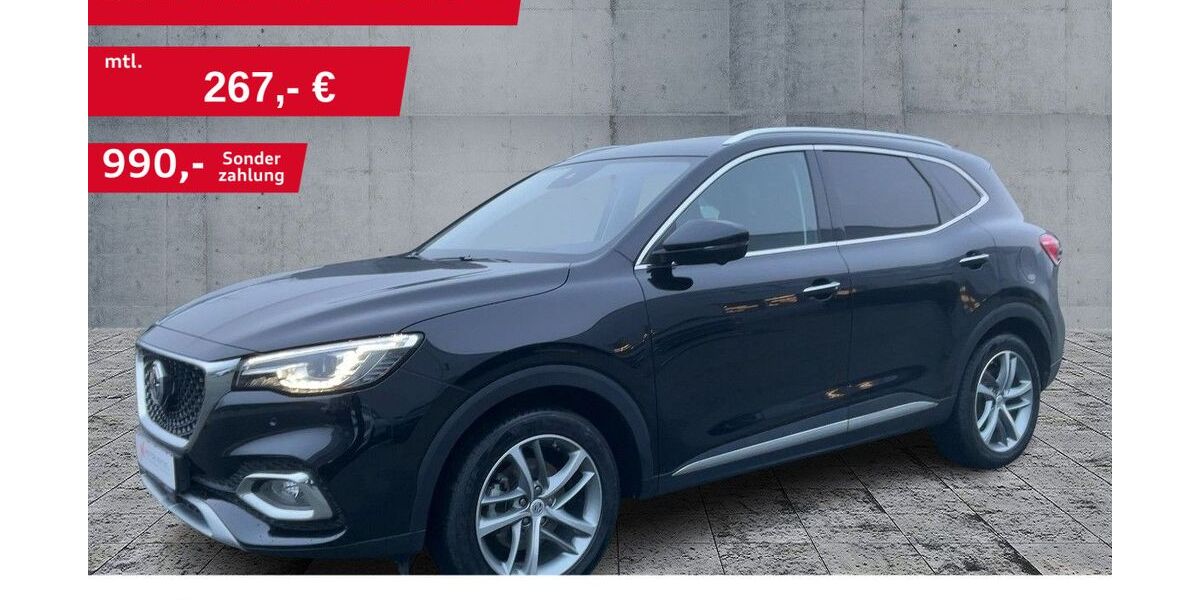 MG HS 37.820 km 19.800 &euro; Werneck 97440