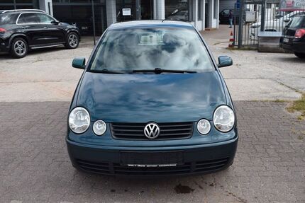 VW Polo