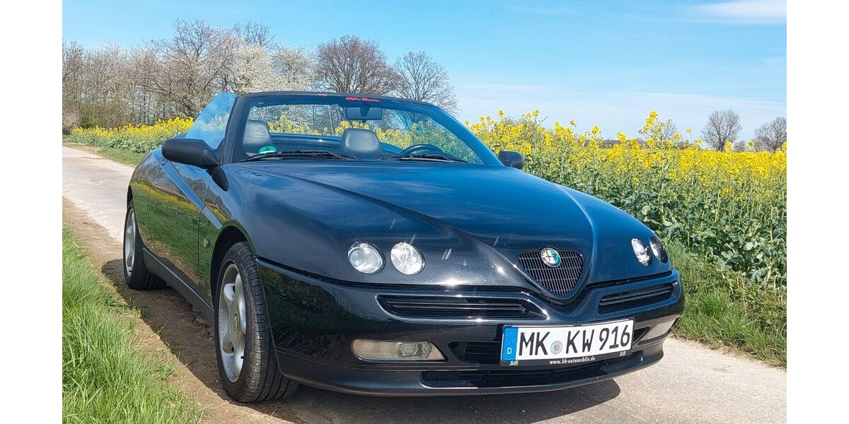 Alfa Romeo Spider 135.800 km 5.500 &euro; Nachrodt - wiblingwerde 58769