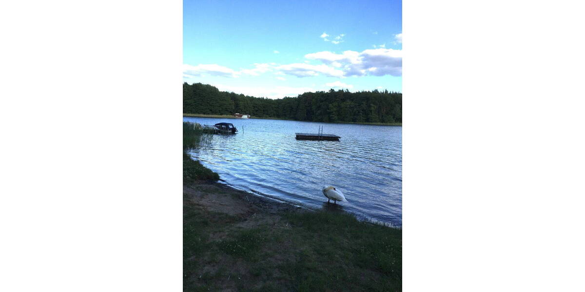 Einfamilienhaus Templin - 8 Zimmer, 275 m&sup2;, 345.000&euro; | Angebot:26038958