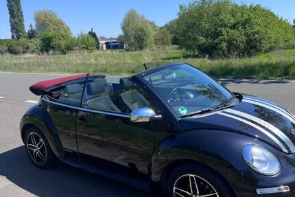 VW Beetle