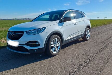 Opel Grandland (X) 73.000 km 13.950 &euro; Dahlen 04774