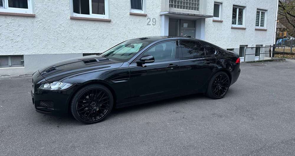 XF