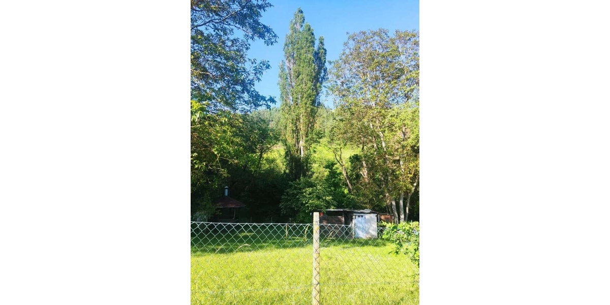 Moderne Neubau-DHH mit Energieeffizienz A+ am Eicher See in Gimbsheim – Südterrasse & Garage - Doppelhaushälfte Gimbsheim | Angebot:27156578