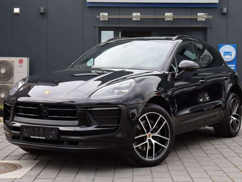 Macan