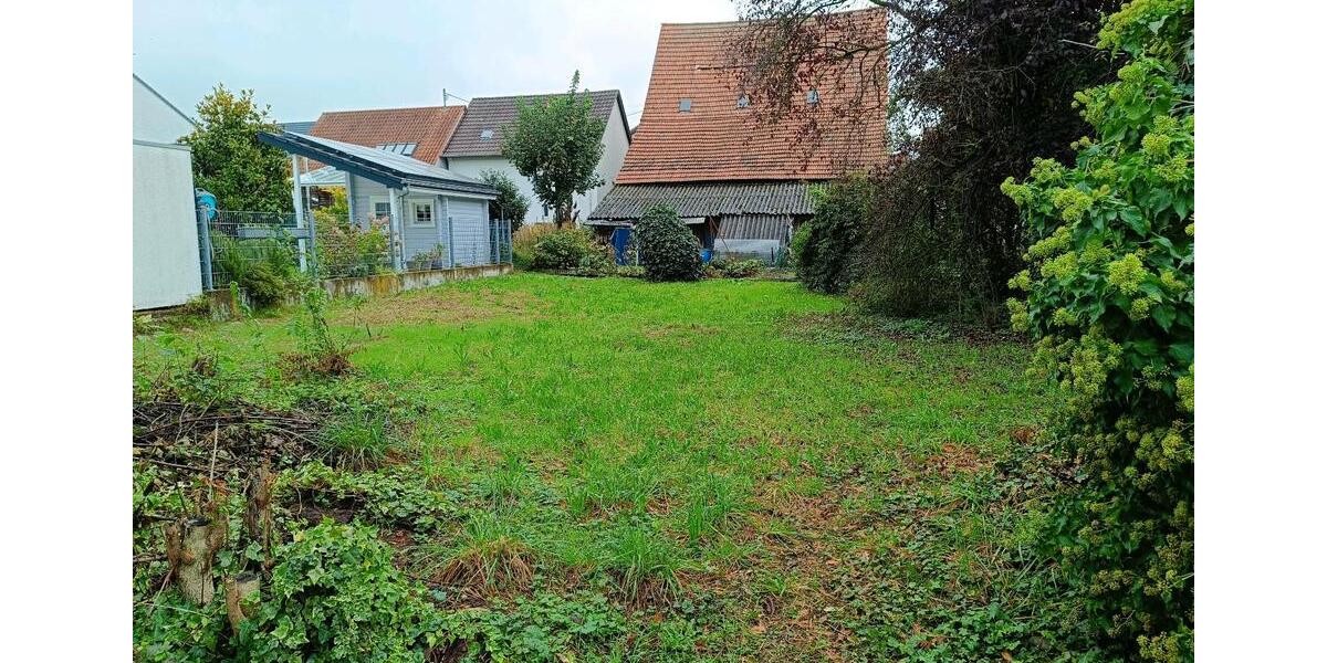 Etagenwohnung Sandhausen - 5 Zimmer, 70 m&sup2;, 650&euro; | Angebot:26495378