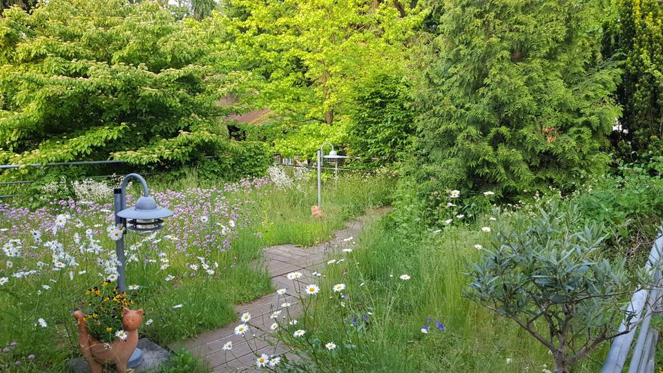 Außergewöhnliches Anwesen im Herzen Uslars mit parkähnlichem Gart zimmer