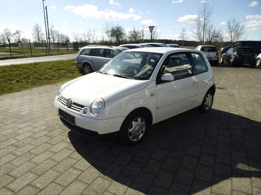 Lupo