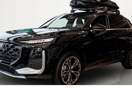 Audi Q3 1.900 km 54.240 &euro; Diez 65582