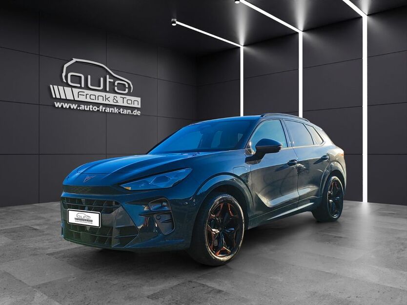 Cupra Terramar 8.900 km 39.990 € Schmelz 66839