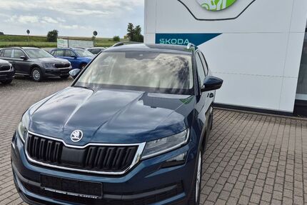 Skoda Kodiaq 114.000 km 18.900 &euro; Unstrut Hainich OT Schönstedt 99991
