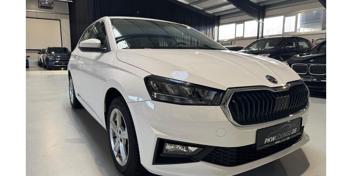 Skoda Fabia 15.000 km 14.390 &euro; Grasberg 28879