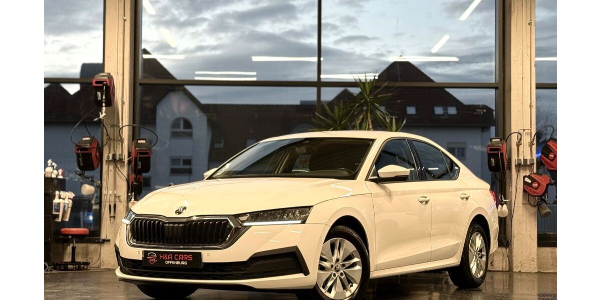 Skoda Octavia 350.000 km 11.490 &euro; Offenburg 77652