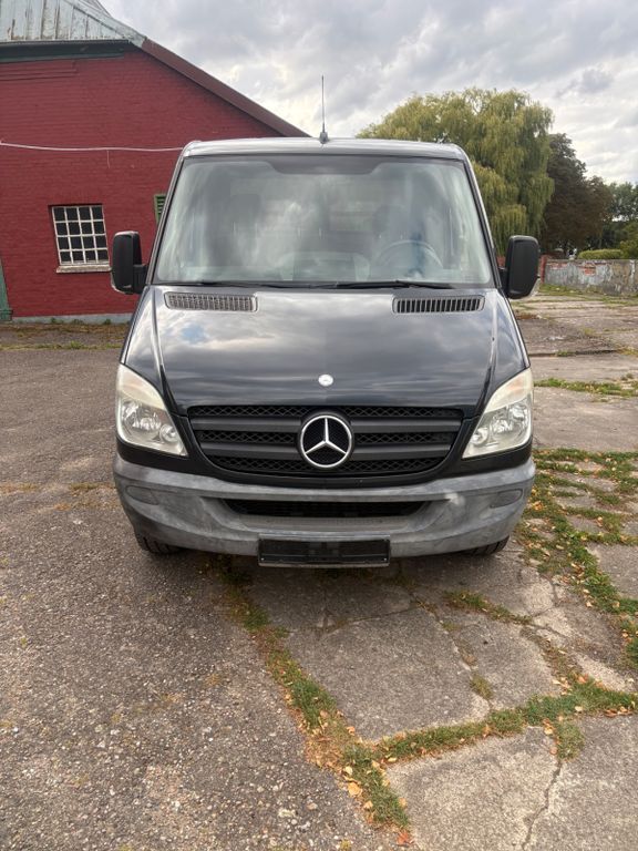 Sprinter