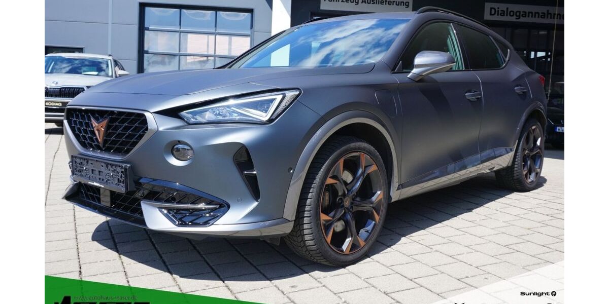 Cupra Formentor 89.100 km 24.850 &euro; Waldshut-Tiengen 79761