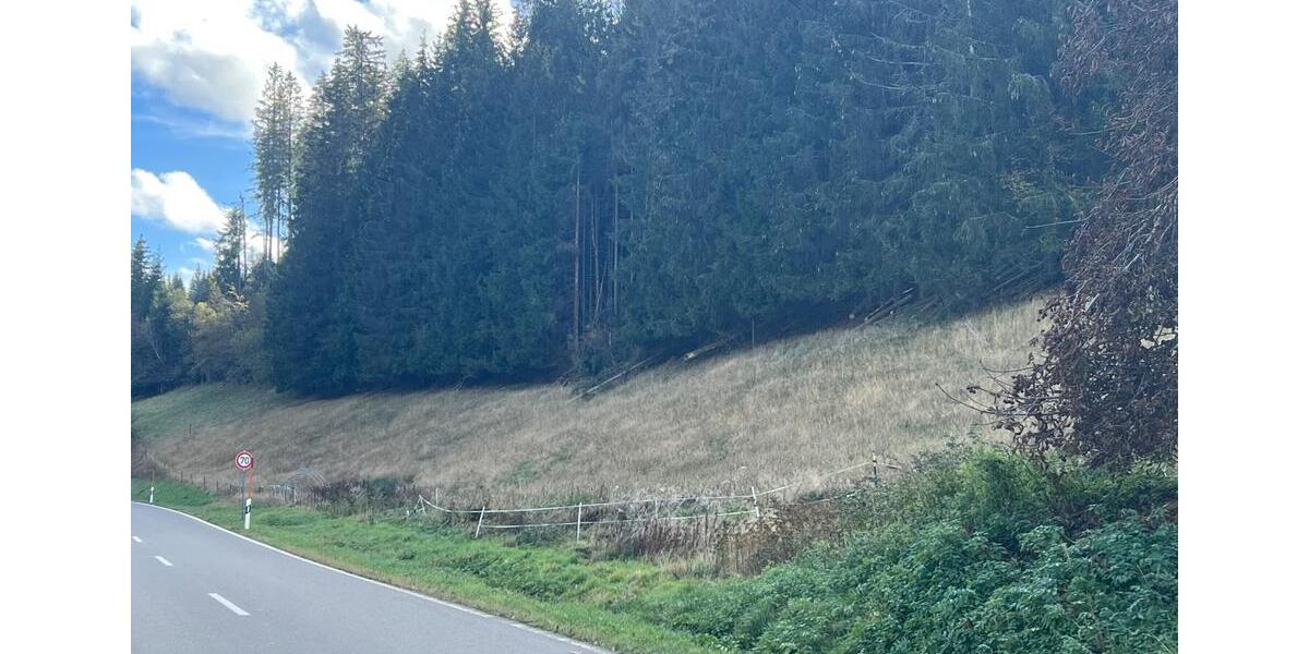 Bauernhaus, Landhaus Furtwangen im Schwarzwald - 6.5 Zimmer, 200 m&sup2;, 1.700&euro; | Angebot:26155420