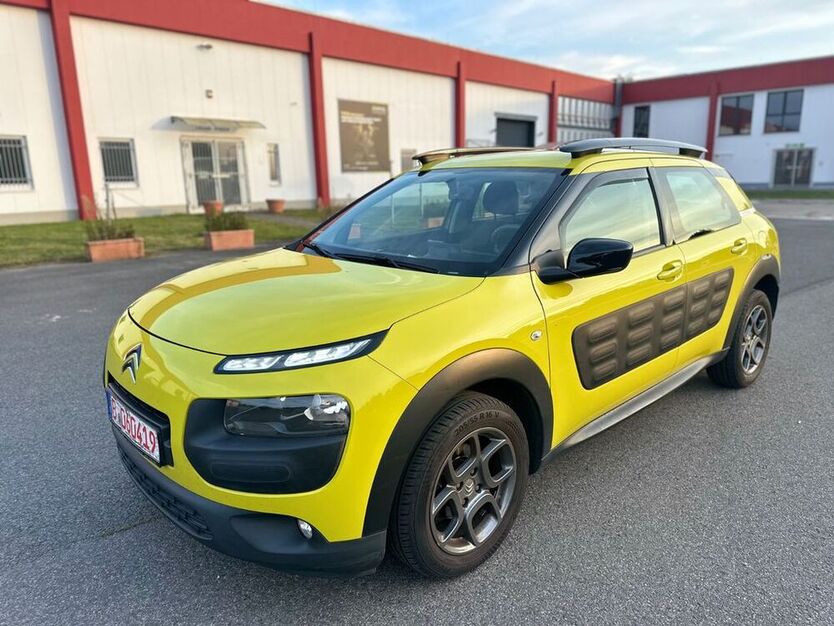 C4 Cactus