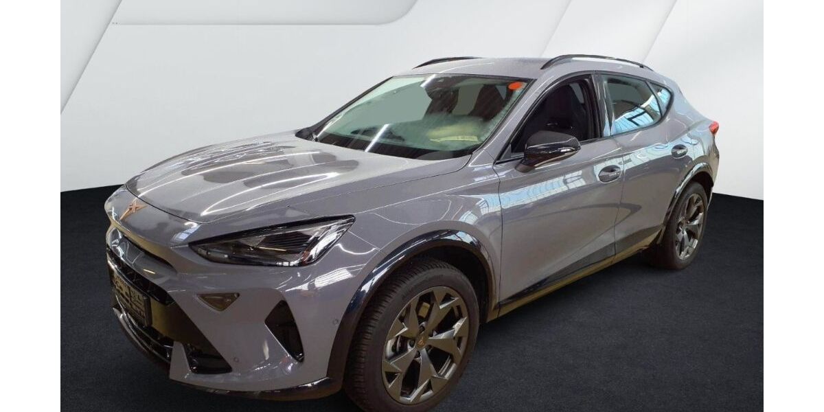 Cupra Formentor 25.802 km 33.850 &euro; Bernau 16321