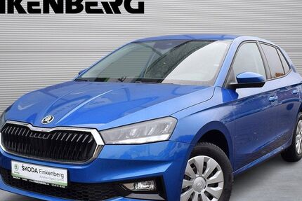 Skoda Fabia 28.000 km 15.980 &euro; Verden 27283