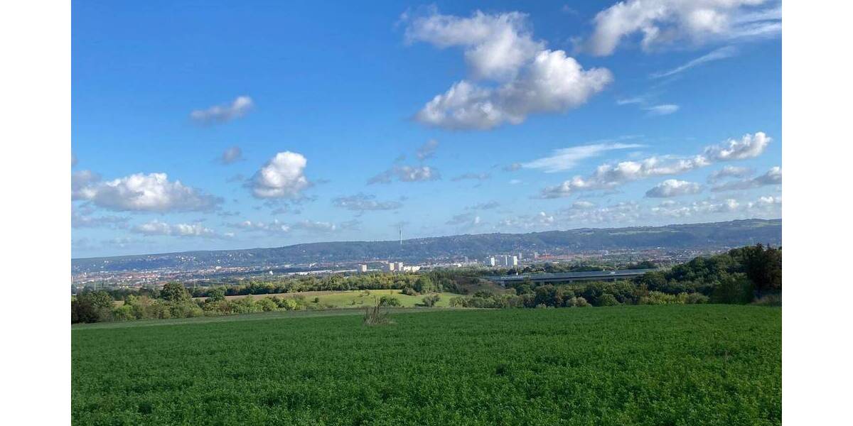 Verkauf von 2 Haushälften mit 3 Wohneinheiten in Gaustritz zimmer