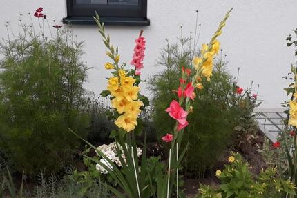 Haus Karlsruhe Innenstadt-Ost - 6 Zimmer, 142 m&sup2;, 970.000&euro; | Angebot:25286418