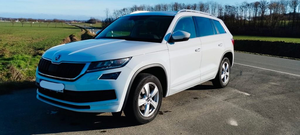 Skoda Kodiaq 96.100 km 28.500 &euro; Geseke 59590