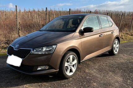 Skoda Fabia 52.000 km 8.800 &euro; Baden-Baden 76534