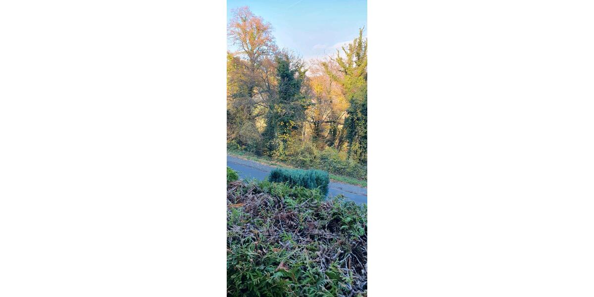 Einfamilienhaus Weilerswist - 4 Zimmer, 120 m&sup2;, 1.500&euro; | Angebot:23503794