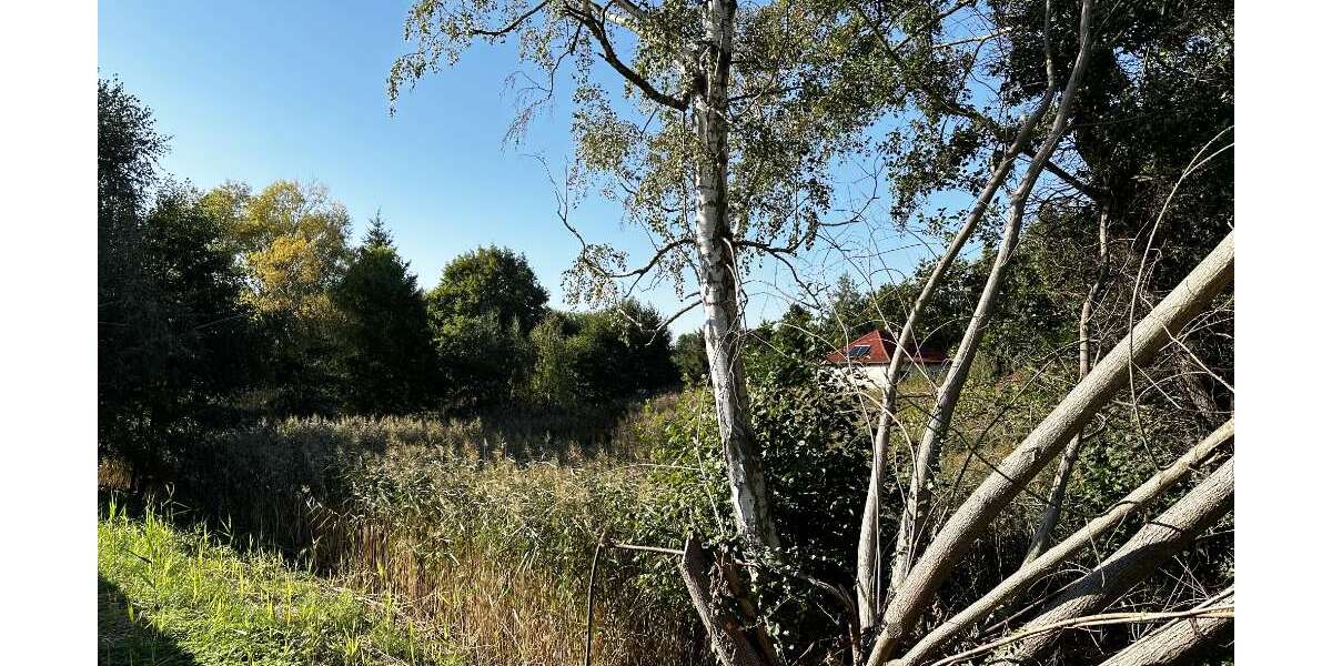 Grundstück Gardelegen - 60.000&euro; | Angebot:18208020