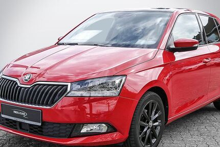 Skoda Fabia 54.000 km 13.890 &euro; Büdelsdorf 24782