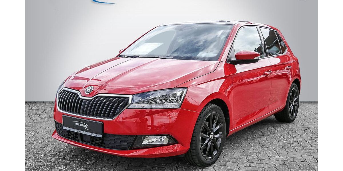 Skoda Fabia 54.000 km 13.890 &euro; Büdelsdorf 24782