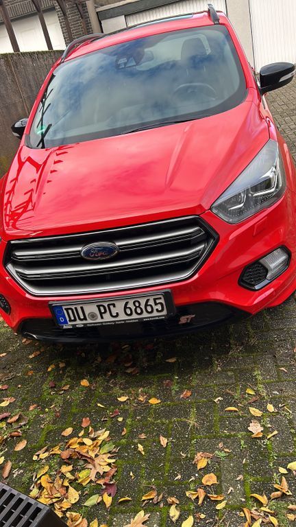 Kuga