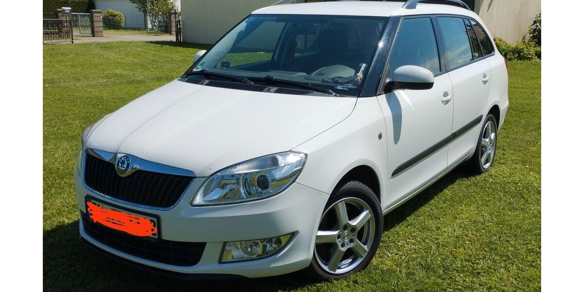 Skoda Fabia 130.550 km 5.990 &euro; Am Großen Bruch 39393
