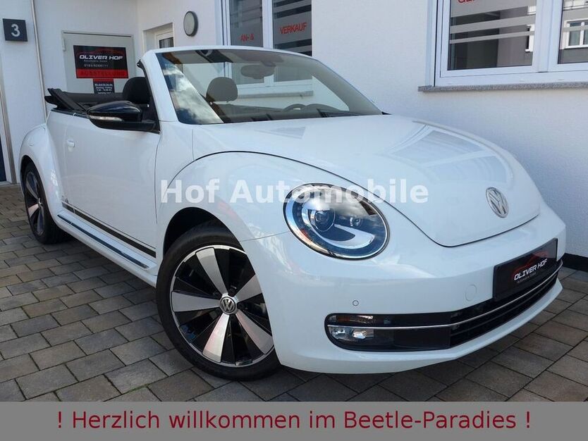 Beetle