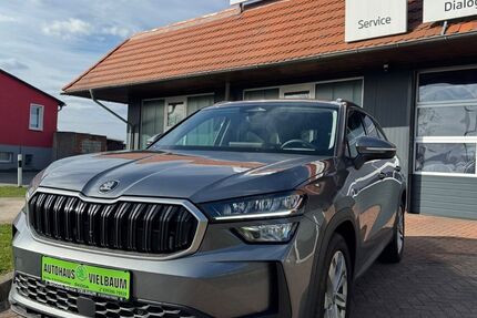 Skoda Kodiaq 10.100 km 38.900 &euro; Aland OT Vielbaum 39615