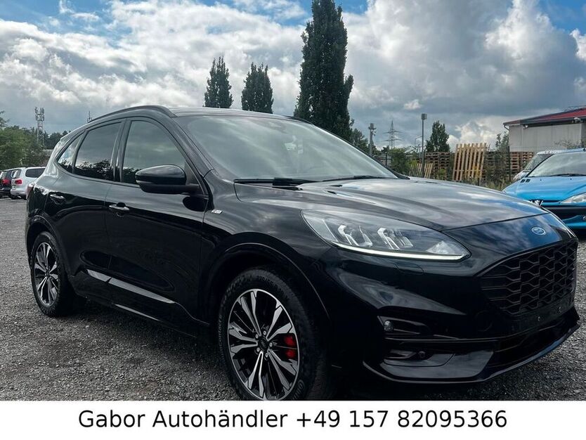Kuga
