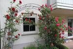 Einfamilienhaus Kißlegg - 9 Zimmer, 192 m&sup2;, 777.777&euro; | Angebot:26820975