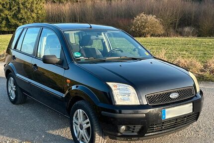 Ford Fusion 184.300 km 1.700 &euro; Mühlingen 78357