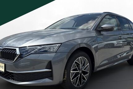 Skoda Octavia 28.470 km 28.930 &euro; Regen 94209