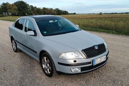 Skoda Octavia 308.000 km 1.900 &euro; Hohenleipisch 04934
