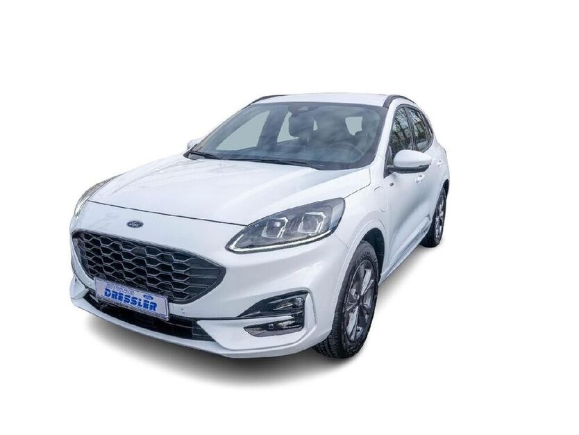 Kuga