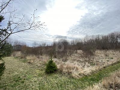 RIESIGES INVESTMENT-BAUGRUNDSTÜCK IN TOP LAGE - Grundstück Arnstadt | Angebot:26129072