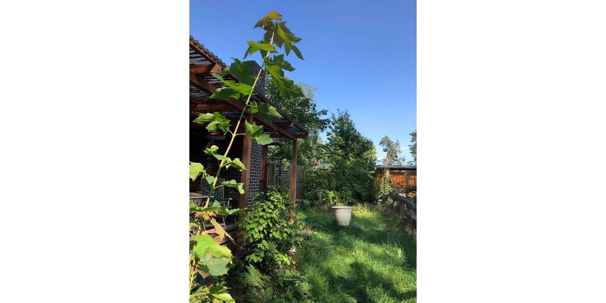 Mehrfamilienhaus, Wohnhaus Hitzacker - 3 Zimmer, 45 m&sup2;, 65.000&euro; | Angebot:25996655