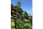 Mehrfamilienhaus, Wohnhaus Hitzacker - 3 Zimmer, 45 m&sup2;, 65.000&euro; | Angebot:25996655
