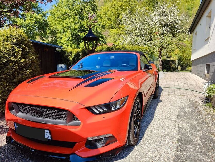 Mustang