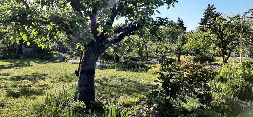 Grundstück Leipzig Südwest - 1.500&euro; | Angebot:26698278