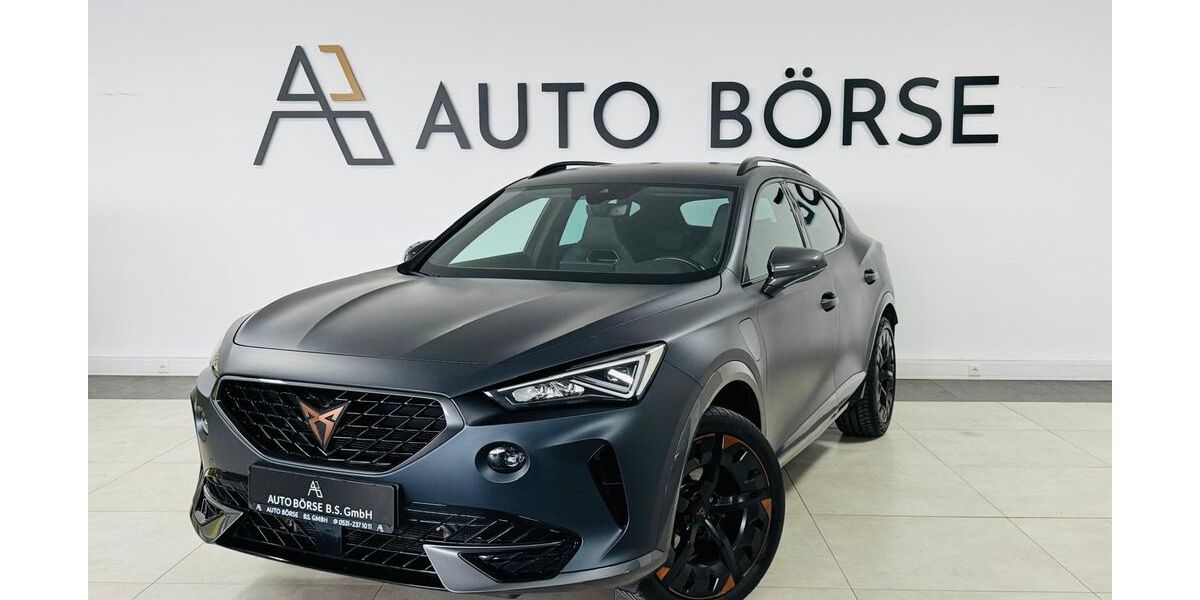 Cupra Formentor 101.730 km 20.890 &euro; Braunschweig 38114