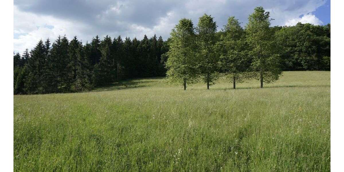 Grundstück Oberhausen - 69.000&euro; | Angebot:26364710