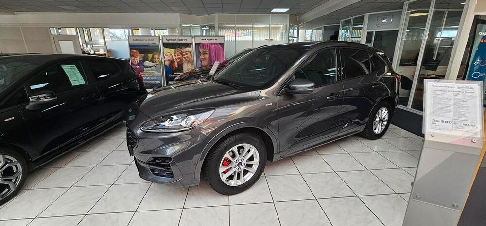 Kuga