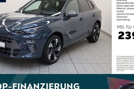 Cupra Terramar 6.452 km 37.480 &euro; Amberg 92224